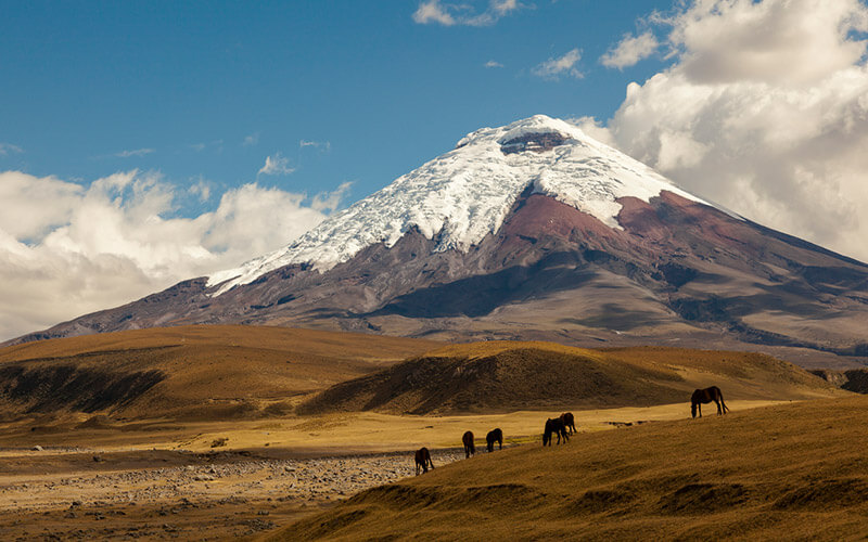 Equador-foto-5