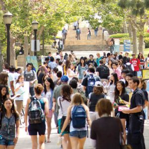 UCLA - University Of California, Los Angeles